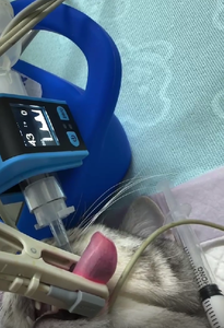 <span class=keywords><strong>Monitor</strong></span> Oksimeter Pulso Kapnografi Mini Portabel untuk Hewan Peliharaan (Kucing, Anjing) di Klinik Hewan - Product Image 6