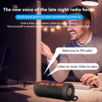 Peakers 2 In 1 Bluetooth Speaker For home