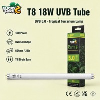 LuckyHerp T8 18W UVB5.0 Lampe UVB Spirale en Verre pour Reptiles Écologique Intérieur Toutes Saisons 24 pouces