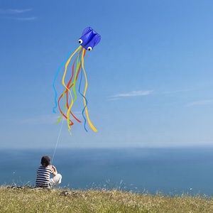 2023 bán buôn cometa Nylon 4m chiều dài 3D Inflatable bạch tuộc diều để bán - Product Image 6