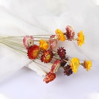 Chrysanthèmes séchés naturels frais de petite taille pour DIY, vente en gros, directement de l'usine, idéal pour un cadeau pour petite amie