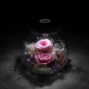 Luce Led Rose conservate prezzo ragionevole conservato <span class=keywords><strong>rosa</strong></span> In cupola di vetro per la ragazza donna <span class=keywords><strong>rossa</strong></span> regalo di san valentino - Product Image 3