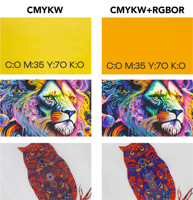 Encres couleur DTF Hanrun Paper de qualité supérieure R/G/B/OR pour impression couleur professionnelle
