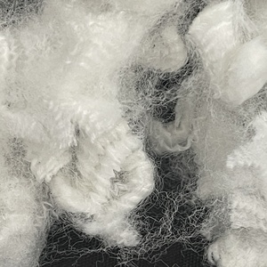 Vente en gros 6d * 25mm <span class=keywords><strong>fibre</strong></span> de <span class=keywords><strong>polyester</strong></span> creuse rembourrage en <span class=keywords><strong>polyester</strong></span> <span class=keywords><strong>fibre</strong></span> creuse pour rembourrage canapé en dacron - Product Image 3