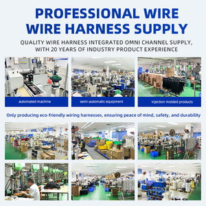 Kabel Harness Tembaga Paralel 2 Inti OEM 2468, Kabel Harness yang Dapat Disesuaikan - Product Image 6
