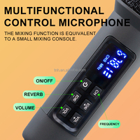 TNH D900 Tragbares Kabelloses Mikrofon mit Ladefunktion für Gesang, Live-Streaming, Soundkarte, Bühnen-Professionelles Reverb, Ein-zu-Zwei-Mikrofon-System