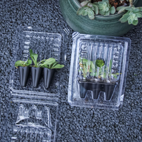 Caja de Transporte de Plántulas Transparente Personalizada de PET de 1 mm de Grosor, Soporte Seguro para Macetas, Embalaje de Protección para Raíces de Plantas Jóvenes