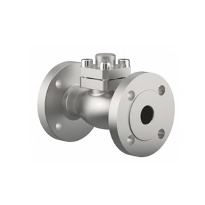 Válvula de Aguja Criogénica Pura de 300 mm, Válvulas de Control de Hidrógeno Líquido para Riego de Baterías - Product Image 4