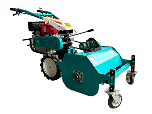 <b>Walk</b>-Behind Lawn Mower: Small-Sized <b>Machine</b> with Grass Shredding Capability - Product Image 2