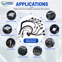 Harnais de câblage moteur ECU autonome personnalisé en usine, faisceau de câbles tressé pour bobine d'allumage et capteurs multiples, faisceau de câbles automobile sur mesure