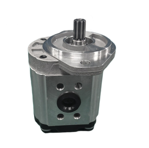 Bomba de Engranajes Hidráulica Casappa PLP20.20-DO 82E2-LGD/GD-N-EL, 20CC, Serie Doble PLP, Repuesto Industrial Móvil - Product Image 2