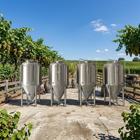 Fermenteur Conique de Bière 500L Clé en Main avec Enveloppe Chauffante pour Brasserie Artisanale Moyenne