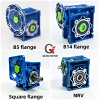 Réducteur à vis sans fin NMRV RV40 50 63 75 90 110 Boîte de vitesses Série R Montage vertical Engrenages métalliques Utilisation industrielle 2,2 HP