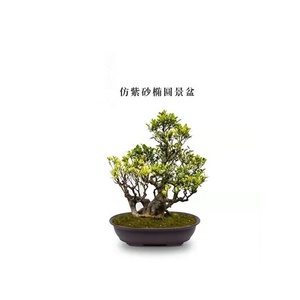 Chine <span class=keywords><strong>pas</strong></span> <span class=keywords><strong>cher</strong></span> grande taille forme ovale bonsaï pots pots d'arbre pots de fleurs - Product Image 3