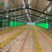Système d'élevage de poulets automatique de haute qualité pour poulaillers et fermes avicoles, conception de ferme avicole avec fournisseur professionnel
