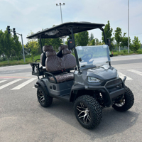 Chariot de golf 4 places alimenté au carburant Street Legal Chariot de golf 4 places Chasse Véhicule tout-terrain Chariot de plage