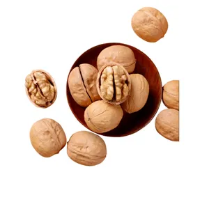 Wholesale Chinese Manufacturers Thin Shell Walnuts Honey Herbaceous Five Fragrances Flavored Roasted Walnut