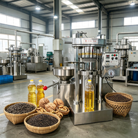 Presse à huile hydraulique entièrement automatique avec contrôle numérique en acier inoxydable, production d'huile de soja pressée à froid, capacité de 30 kg/h