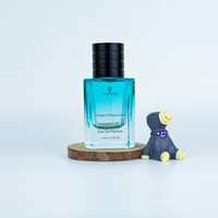 Flacon de parfum en verre bleu de luxe personnalisable, haut de gamme, exquis, avec pulvérisateur à pompe, diffuseur à bâtonnets, parfum pour homme, marque 50ml