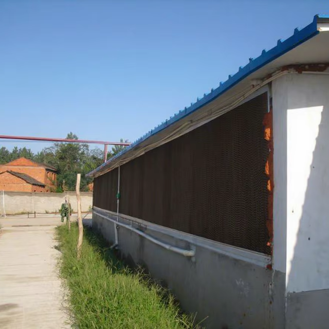 Poultry Farm Evaporative Cooling System Pig Farm Cooling Pad