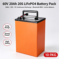 Batterie LiFePO4 haute capacité 60V 20Ah, batterie de remplacement au phosphate de fer et de lithium pour véhicules électriques
