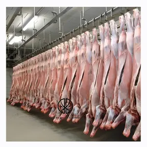 Cadeia Fornecedor Muçulmano Mutton Equipamento Matadouro Pendurado Convey Rail Use Sheep Slaughtering Stunning Machine