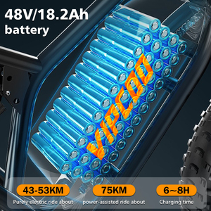 2026 Newest 20 Inch Fat Tire Mountain 750W Motor for Adults UK EU Warehouse VC-VM6 Mountain - Product Image 3