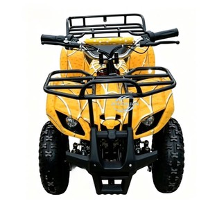 Trendy Kids Off-Road Quadricycle, Compact <b>Gasoline</b> Two-Stroke Mini Quad Bike For Outdoor Fun - Product Image 1
