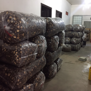 Champignons Shiitake séchés-Meilleure vente en 8/2023 // HANA - Product Image 1