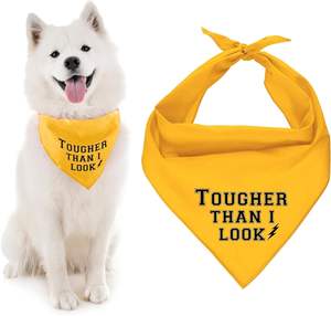 Bandana pour chien ajustable unisexe, mouchoir triangle, bavoir jaune imprimé «Born Run», accessoire de vêtements pour animaux de compagnie lavable et mignon - Product Image 1