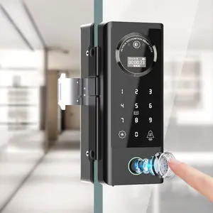 New 3D Face Reconition Smart Lock Remote Control WIFI Tuya APP Biometric Fingerprint Intelligent Glass Door Lock