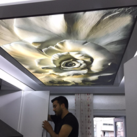Matériau de décoration intérieure Plafond tendu en PVC imprimé en 3d pour salon européen pop