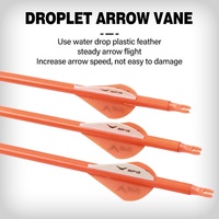 Flèches de chasse en carbone mixte pour tir à l'arc, pointe remplaçable de 6,2 mm, pour arcs à poulies et arcs classiques, accessoires professionnels