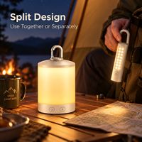 Lampu Camping LED RGB 2 in 1 Lepas Pasang Isi Ulang USB C Portabel, Lampu Tenda Genggam untuk Luar Ruangan, Grosir OEM ODM