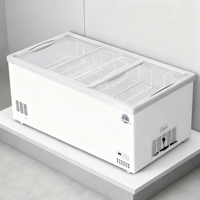 Offre Spéciale d'usine litre différent maison mini réfrigérateur d'aliments frais réfrigérateur congélateur maison réfrigérateurs hôtel mini réfrigérateur