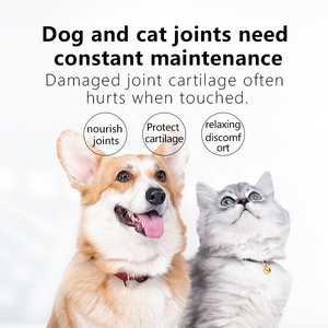 Integratore per Articolazioni Sane di Cani e Gatti all'Ingrosso, Compresse di Glucosamina, Curcuma, <span class=keywords><strong>MSM</strong></span> e Solfato di Condroitina, Supporto Immunitario ad Assorbimento Rapido - Product Image 2