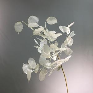 Feuilles de plante artificielle <span class=keywords><strong>Lunaria</strong></span> annuelle A-1066 (Argentier) pour bouquet de mariage, baby shower, arrangement floral - Product Image 5