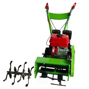 Motoculteur compact 170F à essence pour l'aération des sols maraîchers, <span class=keywords><strong>entretien</strong></span> simple - Product Image 6