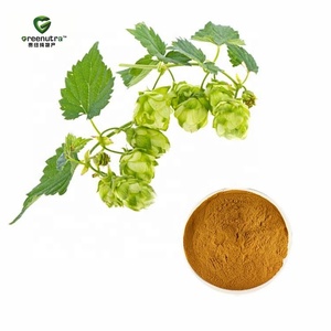 Extrait de Houblon Maturé 10:1, Extrait Végétal Naturel, Poudre d'Extrait de Houblon pour Bière, Xanthohumol 98%, Extrait de Houblon Tétrahop - Product Image 1