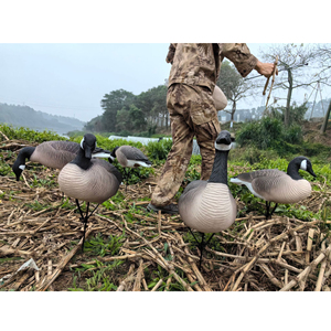 Offre Spéciale : Leurre Flottant Réaliste 3D en Plastique pour <span class=keywords><strong>Chasse</strong></span> au Canard – Accessoire <span class=keywords><strong>de</strong></span> <span class=keywords><strong>Chasse</strong></span> Léger pour l'Extérieur - Product Image 4