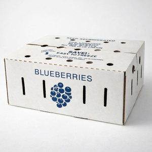 Cold Chain Ventilated Corrugated Carton for Blueberry Transport 10 LBS RSC Industrial Packaging <strong>Box</strong> - Product Image 1