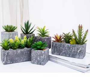 Thiết Kế Mới Tùy Chỉnh Trang Trí Nhỏ Mini Chậu Cây Mọng Nước Giả - Product Image 2