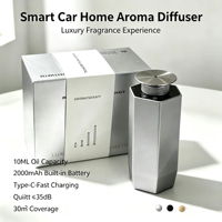 Diffuseur de parfum à deux fluides silencieux, sans eau, portable, mini, rechargeable, nébuliseur, diffuseur d'arômes, fabrication directe ODM