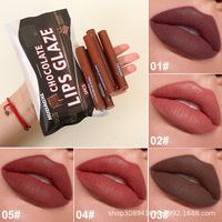 Ensemble de gloss et de rouge à lèvres chocolat, maquillage mat, non tachant, non décolorant, cinq rouges à lèvres pour les lèvres