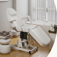 살롱 가구 다기능 조정 가능한 접이식 스파 마사지 침대 전기 미용 침대 전기 침대
