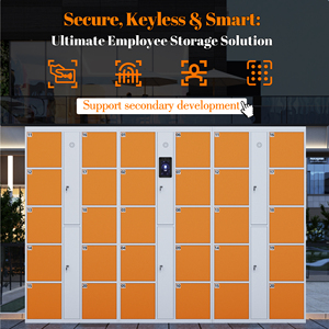 Casillero Inteligente para Paquetes y Equipaje, Software de Gestión Remota, API SDK, Pago en Línea, Solución de Almacenamiento y Alquiler de Autoservicio 24/7 - Product Image 2