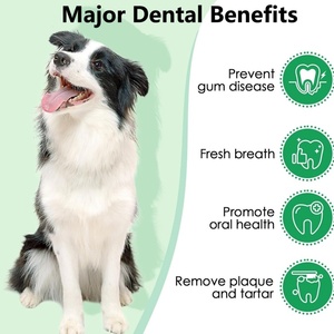 Campione Gratuito: Integratore per Cani in Polvere per Igiene Dentale, Rinfresca l'Alito e Favorisce la Salute Intestinale con Estratto di Tè Verde per Tutti i Marchi - Product Image 2