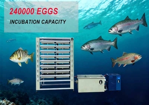 Sản xuất bán buôn nuôi trồng thủy sản thiết bị xử lý nước máy móc cá rô phi Cá trứng lồng ấp dọc lồng ấp - Product Image 2