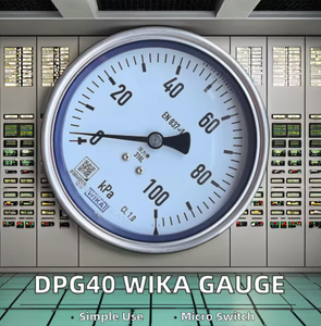 เกจวัดส่วนต่างแบบสวิตช์ DPG40 220V ชิ้นส่วนหลัก PLC S55 เทอร์โมมิเตอร์ดิจิตอลปรับแต่งได้ DPG40 สวิตช์ดิฟเฟอเรนเชียล - Product Image 5