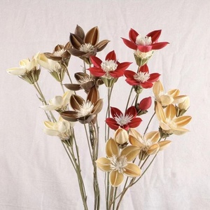 2023 INS stile all'ingrosso essiccato Honggui <span class=keywords><strong>Ren</strong></span> per la casa/decorazione domestica conservata Honggui <span class=keywords><strong>Ren</strong></span> - Product Image 4